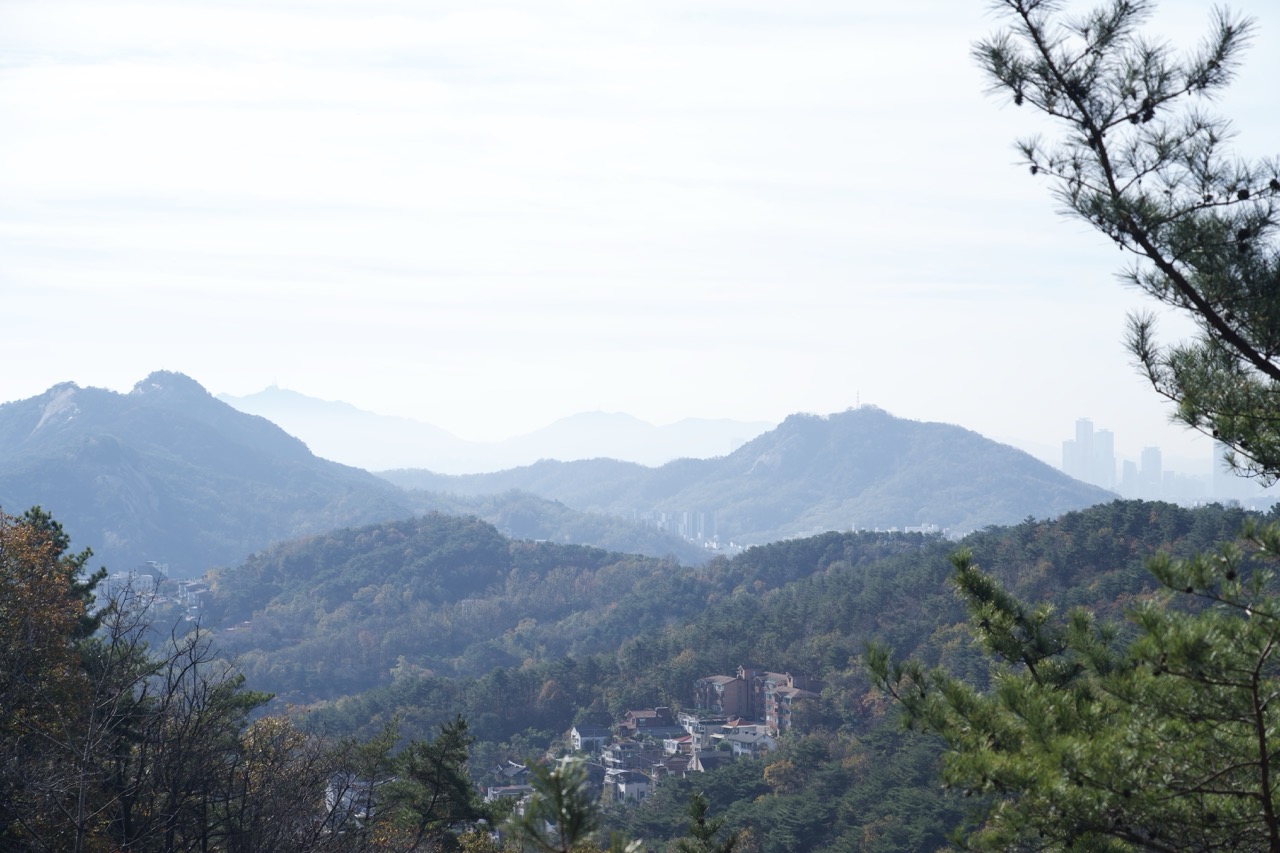 Landscapes
